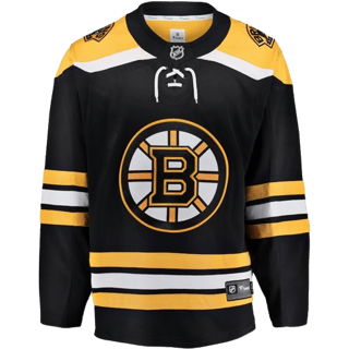 Εμφάνιση Boston Bruins
