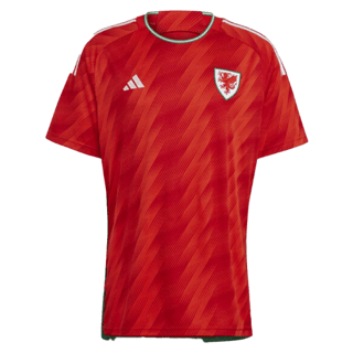 Εμφάνιση Wales