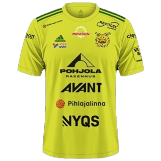 Εμφάνιση Ilves