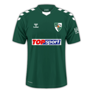 Εμφάνιση Kauno Žalgiris