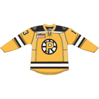 Εμφάνιση Providence Bruins
