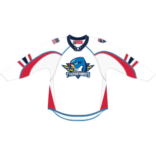 Εμφάνιση Springfield Thunderbirds
