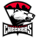 Charlotte Checkers