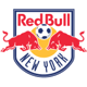 New York Red Bulls