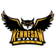 Kennesaw State Owls