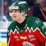 Erik Borg